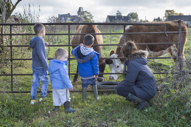 Mutter und Söhne betrachten Kühe durch das Gatter - CUF03657