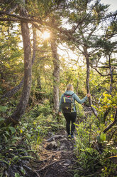 Female hiker hiking in forest, Pacific Rim National Park, Vancouver Island, British Columbia, Canada - CUF03856