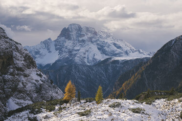 Drei Zinnen Gebiet, Südtirol, Dolomiten, Italien - CUF03863