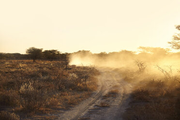 Dusty arid plain and dirt track at sunset, Namibia, Africa - CUF03883
