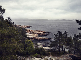 Bedeckte Küstenlandschaft, Norwegen - CUF03889