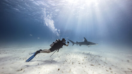 Unterwasseransicht eines männlichen Tauchers, der einen Hai in der Nähe des Meeresbodens beobachtet - CUF03981