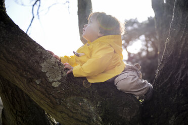 Kleiner Junge schaut vom Parkbaum auf - CUF03998