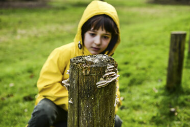 Junge im gelben Anorak schaut auf einen Zaunpfahl im Park - CUF04042