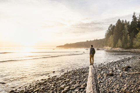 Mann schaut vom Treibholzstamm am Strand im Juan de Fuca Provincial Park, Vancouver Island, British Columbia, Kanada, hinaus, lizenzfreies Stockfoto