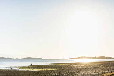 Distant view of couple on beach at Rathrevor Beach Provincial Park, Vancouver Island, British Columbia, Canada - CUF04088
