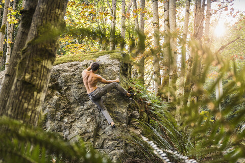 Männlicher Boulderer beim Aufstieg auf einen Waldfelsen, Horne Lake Caves Provincial Park, Vancouver Island, British Columbia, Kanada, lizenzfreies Stockfoto