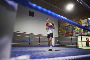 Junger männlicher Boxer steht gelassen im Boxring - CUF04316