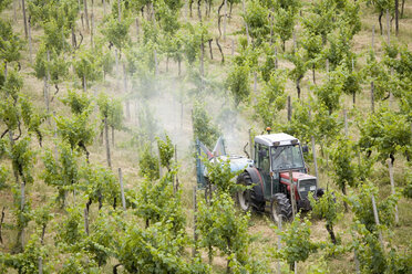 Traktor beim Sprühen von Pflanzen auf dem Feld - CUF04422