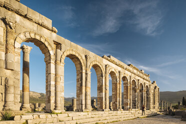 Römische Ruinen von Volubilis, Meknes, Marokko, Nordafrika - CUF04488