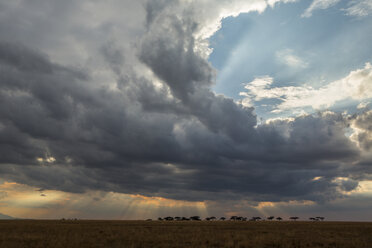 Scenic view, Arusha, Tanzania, Africa - ISF00967