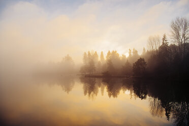 Puget Sound bei Sonnenuntergang, Bainbridge, Washington, USA - ISF01005