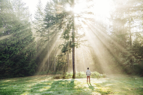 Stehender Mann, der das durch die Bäume scheinende Sonnenlicht betrachtet, Rückansicht, Bainbridge, Washington, USA - ISF01010
