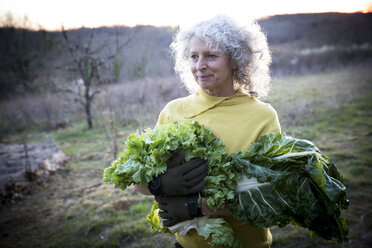 Ältere Frau trägt einen Arm voll Kohl und Salatblätter auf einem Feld - CUF04587