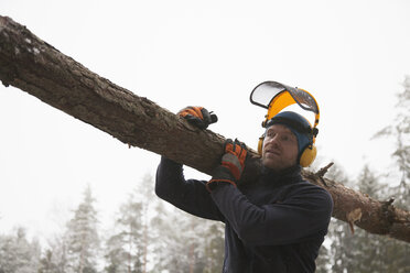 Holzfäller mit Holzstamm, Tammela, Forssa, Finnland - CUF04658