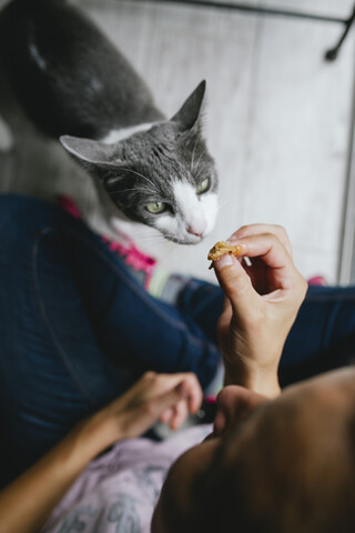Frau füttert eine graue Katze zu Hause, lizenzfreies Stockfoto
