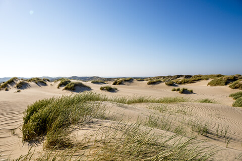 Germany, Schleswig-Holstein, Sylt, sand dunes stock photo
