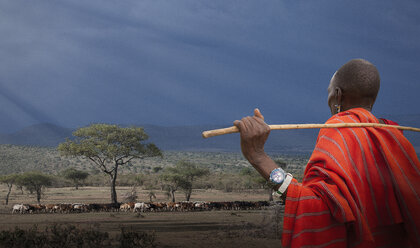 Masai-Hirte beobachtet seine Kühe, Masai Mara National Reserve, Kenia - CUF04784