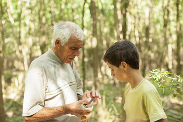 Grandfather and grandson mushroom hunting in forest, Prievidza, Banska Bystrica, Slovak Republic - ISF01227