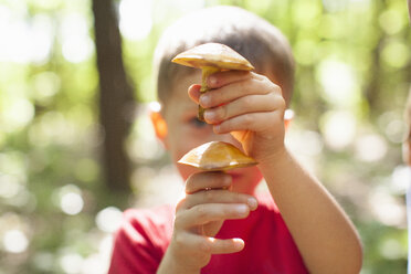 Junge spielt mit Pilzen an einem sonnigen Tag im Wald - ISF01228