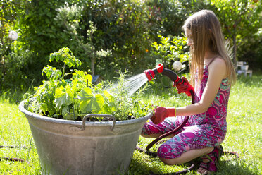 Girl using garden hose for watering planted herbs in zinc tub in the garden - SARF03736