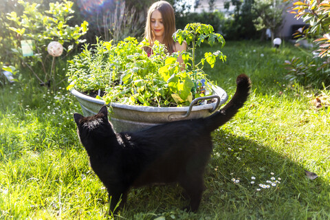 Girl planting herbs in zinc tub in the garden stock photo