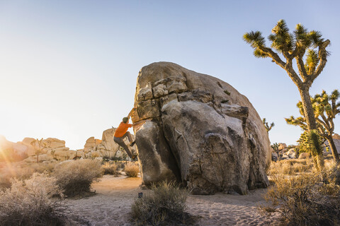 Männlicher Boulderer, der in der Abenddämmerung einen Felsblock im Joshua Tree National Park hochklettert, Kalifornien, USA, lizenzfreies Stockfoto