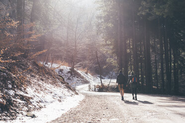 Rear view of hiking couple on sunlit forest road, Monte San Primo, Italy - CUF04974