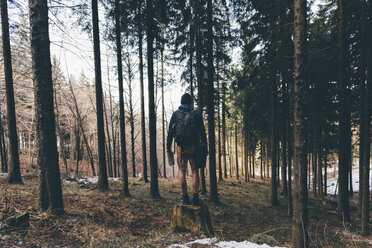 Rückansicht eines männlichen Wanderers, der auf einem Baumstumpf im Wald steht, Monte San Primo, Italien - CUF04977