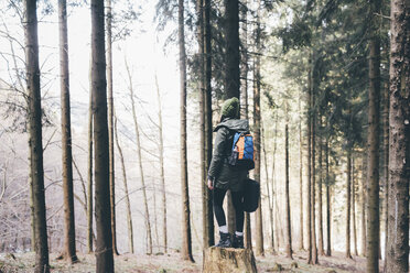 Rear view of female hiker standing on forest tree stump, Monte San Primo, Italy - CUF04978