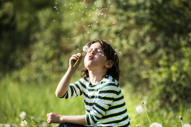 Young boy, sitting in field, blowing on dandelion clock - CUF05021