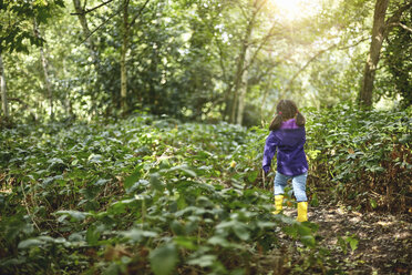 Junges Mädchen geht durch den Wald, Rückansicht - CUF05119