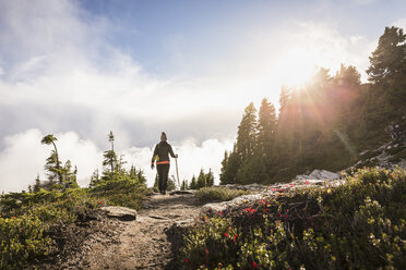 Wanderer auf dem Mount Baker, Washington, USA - CUF05181