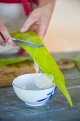 Weibliche Hand schabt in der Werkstatt für handgemachte Seife Flüssigkeit vom Aloe-Blatt ab - CUF05438
