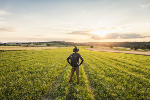 Mittlerer erwachsener Mann, stehend im Feld, Rückansicht, Neulingen, Baden-Württemberg, Deutschland - CUF05476