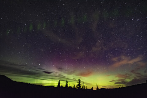 Nordlicht, Polarlichtbogen, Nickel Plate Provincial Park, Penticton, British Columbia, Kanada, lizenzfreies Stockfoto