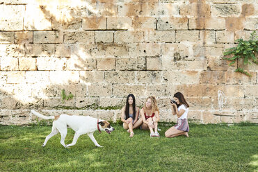 Three young women sitting at stone wall taking picture of dog passing - IGGF00483