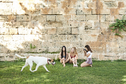 Drei junge Frauen sitzen an einer Steinmauer und fotografieren einen vorbeifahrenden Hund - IGGF00483