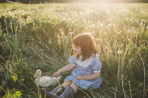 Junges Mädchen im Feld, Ente streicheln - ISF01390