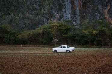 Weißer Oldtimer auf unbefestigtem Feldweg, Vinales, Kuba - CUF05866