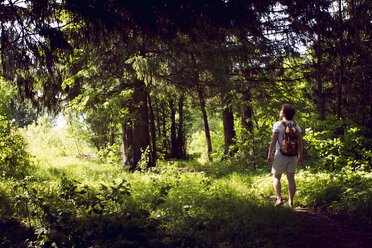 Rückansicht eines jungen männlichen Wanderers beim Wandern durch den Wald - CUF05893