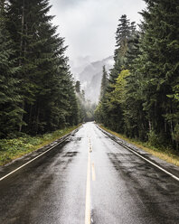 Nasse Landstraße im Strathcona-Westmin Provincial Park, Vancouver Island, British Columbia, Kanada - CUF06206