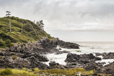 Raue Küstenlandschaft, Wild Pacific Trail, Vancouver Island, British Columbia, Kanada - CUF06210