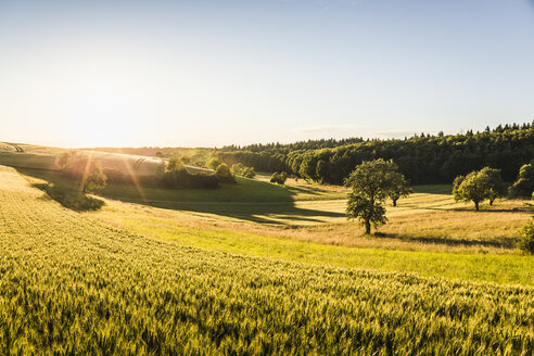 Ländliche Szene, Neulingen, Baden-Württemberg, Deutschland - CUF06266