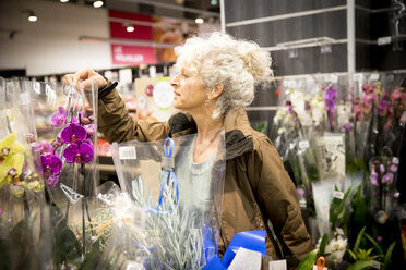 Reife Frau im Supermarkt, die sich Pflanzen und Blumen ansieht - CUF06417