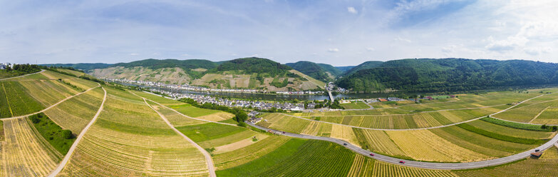 Deutschland, Rheinland-Pfalz, Zell an der Mosel, Rebenhöfe - AMF05728