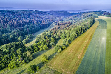 Deutschland, Baden-Württemberg, Rems-Murr-Kreis, Schwäbisch-Fränkischer Wald, Luftaufnahme von Feldern und Wald - STSF01552