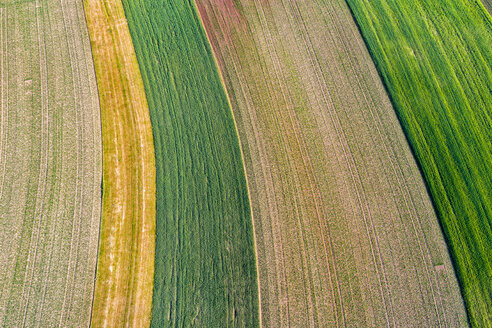 Germany, Baden-Wuerttemberg, Rems-Murr-Kreis, Aerial view of fields - STSF01553