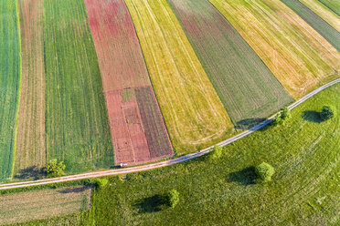 Germany, Baden-Wuerttemberg, Rems-Murr-Kreis, Aerial view of fields - STSF01554