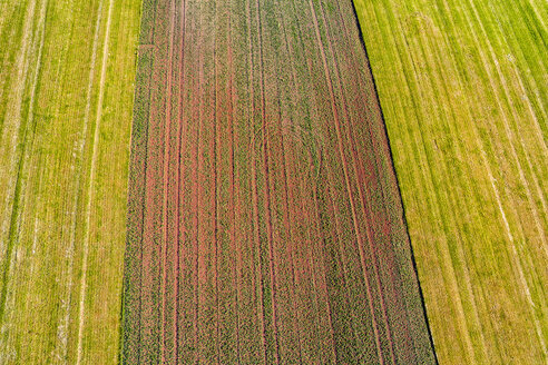 Germany, Baden-Wuerttemberg, Rems-Murr-Kreis, Aerial view of fields - STSF01555